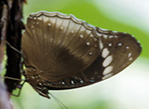 My image