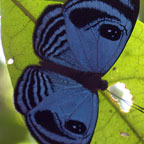 My image