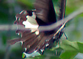 My image