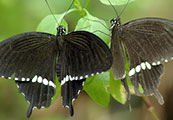 My image