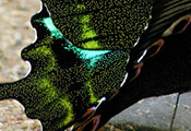 My image