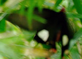 My image