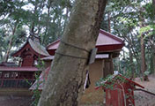 My image
