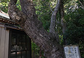 My image